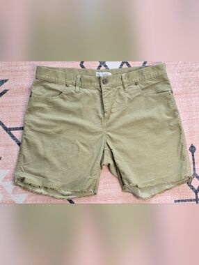 Carve Designs Khaki Corduroy Skirt with Branded Button